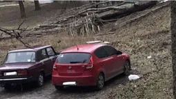 Карма: у Нововолинську суха тополя впала на авто, припарковане у «зеленій» зоні (фото, відео)