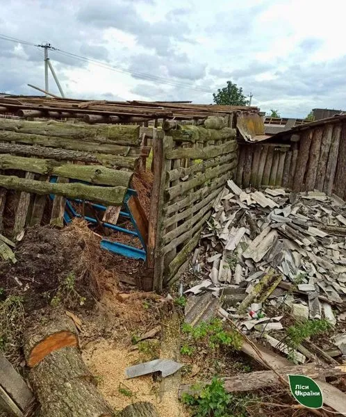Поламані, як сірники, дерева: буревій пошкодив майже 5 тисяч га лісу на Камінь-Каширщині (фото)