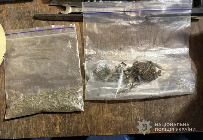 Щомісяця заробляли 250 тисяч гривень: на Волині затримали наркоділків (фото)
