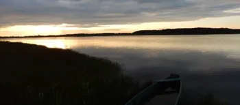 Магія вечора: озеро на Волині потопає у золотих барвах заходу сонця (фото)