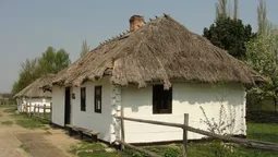На Волині іноземці відновлюють музей (відео)