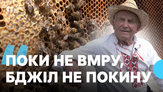 «Поки не вмру, бджіл не покину»: 84-річний волинянин власноруч будує вулики і тримає пасіку (фото, відео)