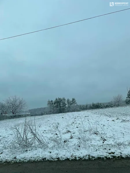 Казкова зима на Волині у квітні: фото, які перехоплюють дух