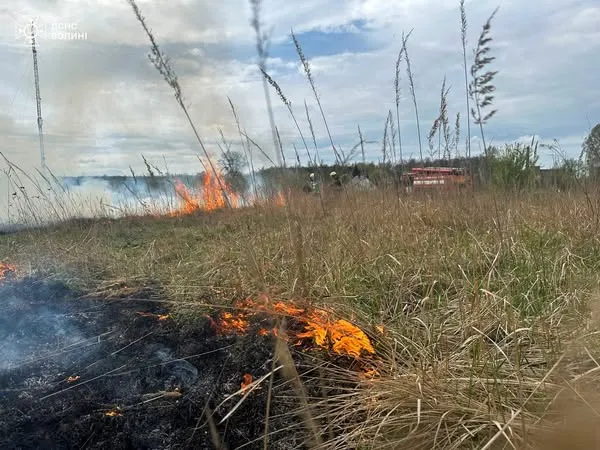 Підпал, замикання, необережність: на Волині загасили шість пожеж (фото)