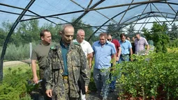 Чим можуть похвалитися лісогосподарські підприємства Волині 