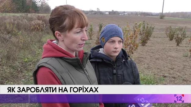 Подружжя на Волині вирощує елітний італійський фундук (відео)