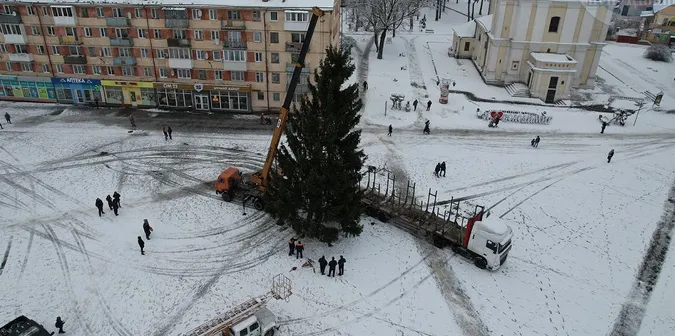 🎄 У Володимирі встановили головну ялинку міста (фото)