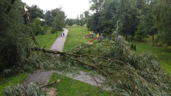 Зірвана покрівля та повалені дерева: у Володимирі бушує негода (фото, відео)