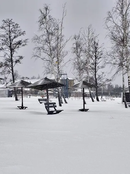 Космічні краєвиди: зима огорнула Світязь у білосніжну ковдру (фото)