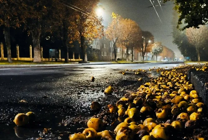Фото: Юрій Фетисов