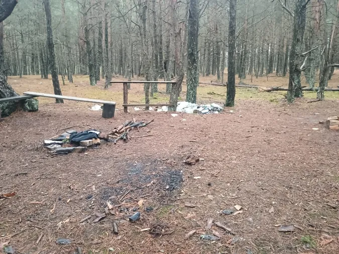 У лісі на Волині виявили гори сміття (фото)