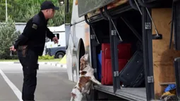 На волинському кордоні Тілсі винюхає наркотики в багажі, одязі та найпотаємніших місцях (фото)