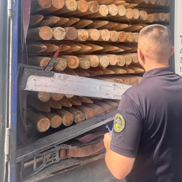 На «Ягодині» зупинили партію соснових кілків на чверть мільйона гривень, яку везли до Ірландії