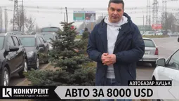 Луцький автобазар: шукаємо "живий" автомобіль за 8 тисяч доларів (відео)