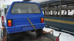 В Україні відновлять унікальну "Волинянку" (фото)