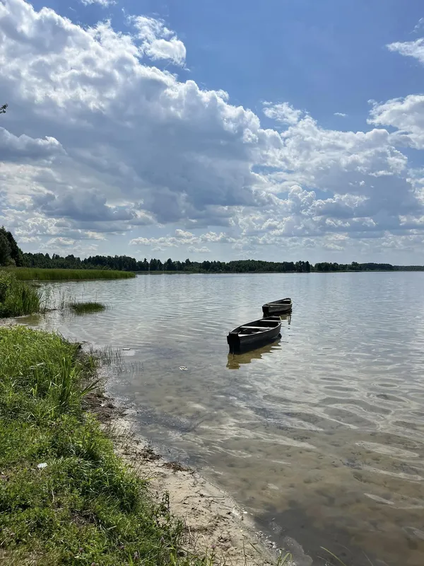 Невелике озеро з чистою водою: де на Волині можна покупатись серед лісу