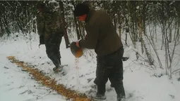 Волинські лісівники підгодовують диких звірів та птахів (фото)