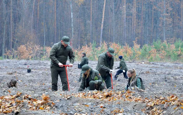 Волинські лісівники – у лідерах «мільярдної» програми з озеленення країни, – Олександр Кватирко