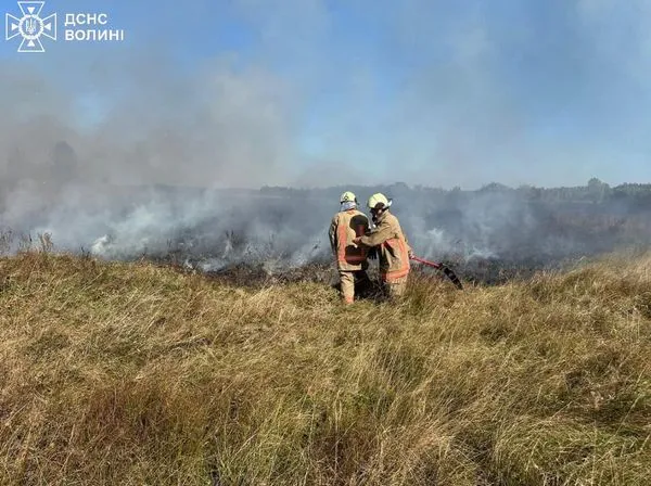 Винуватець втік: на Ратнівщині горіли суха трава та чагарники (фото)