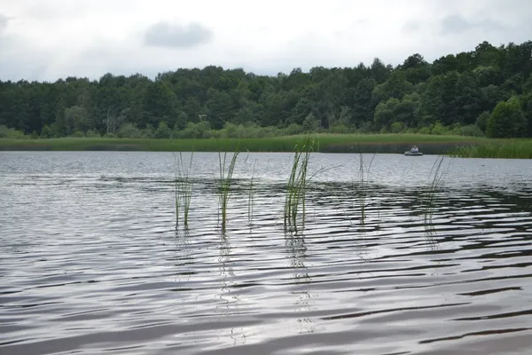 Волиняни і білоруси ділять озеро: 700 гектарів водойми розгорнулися на кордоні двох країн (фото)