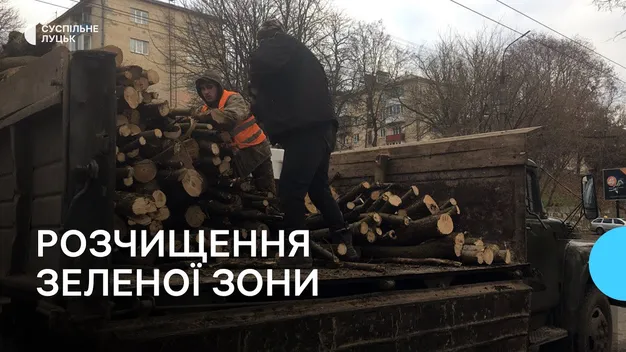 У Луцьку розчищають зелену зону, яка прилягає до Центрального парку (відео)