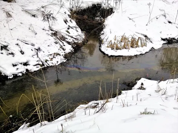 У Луцьку річку отруюють нафтопродуктами, – соцмережі (фото)