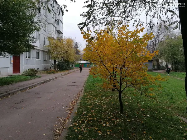 Осінь у  Луцьку (фото)