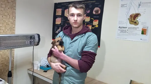 Головне у Луцьку: ТОП новин понеділка, 16 січня