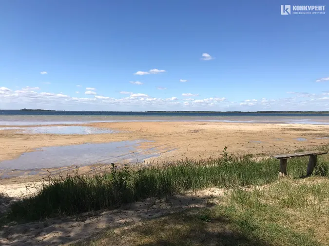 Травневий Світязь: який вигляд має озеро зараз (фото)