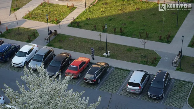 Сонце, квіти і коти: Луцьк заполонила справжня весна (фото)