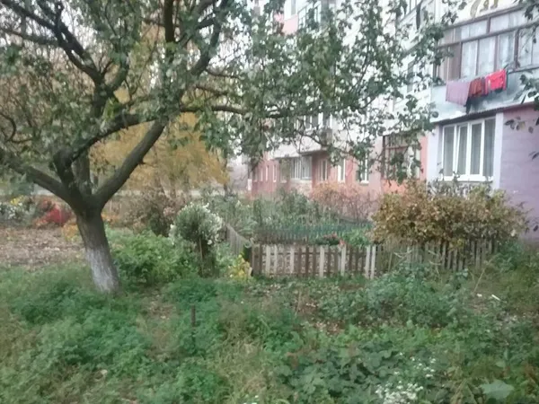 Муніципали борються з городами і парканами біля луцьких багатоповерхівок (фото)