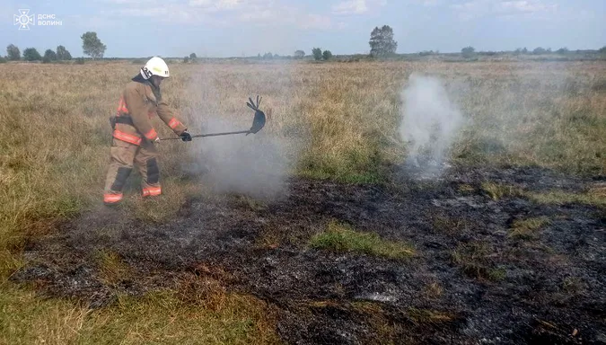 Через необережність з вогнем на Волині сталися п'ять пожеж у полях (фото)