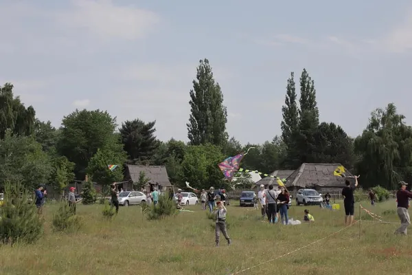 Біля Луцька в небо запускали повітряних зміїв (фото)
