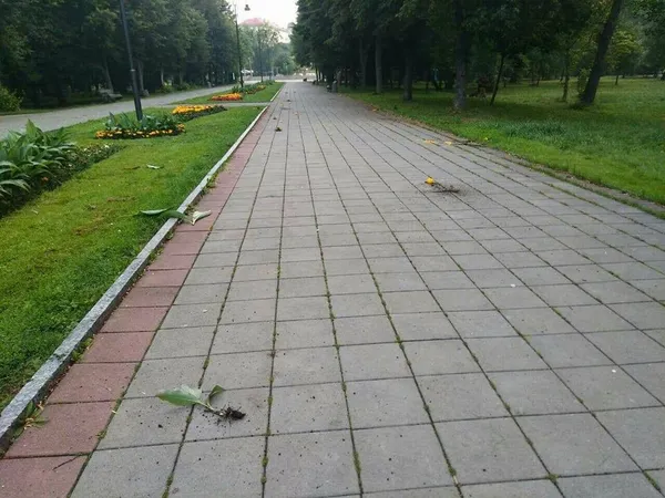 У Луцьку «повандалили» у центральному парку 