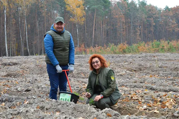 На Волині висадили понад 5 мільйонів сіянців, саджанців та дерев (фото)