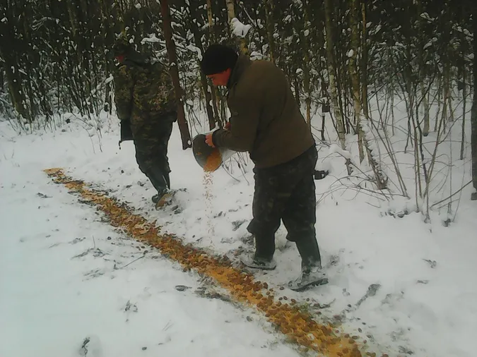 Волинські лісівники підгодовують диких звірів та птахів (фото)