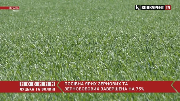 Посівна ярих зернових та зернобобових завершена на 75% (відео)