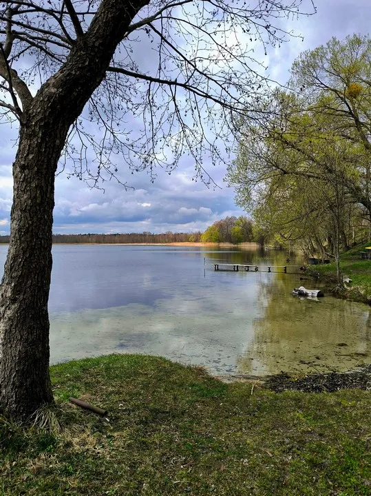 Глибшим є лише Світязь: показали «заквітчане» волинське озеро (фото)