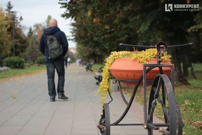 Сонячно, але прохолодно: погода в Луцьку на суботу, 9 жовтня
