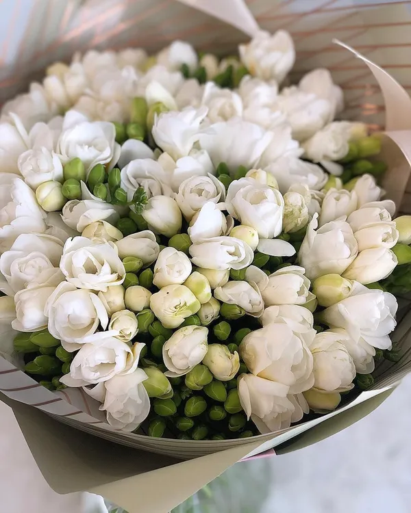 Лайфкахи від Flowers.ua: як обрати букет квітів та доглядати за ним*