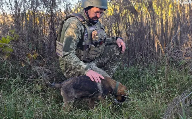 Наймолодший у строю: пес Шустрий живе поруч із волинськими прикордонниками (фото)