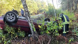 ДТП на Ковельщині: авто злетіло у кювет і перекинулося на дах (фото)