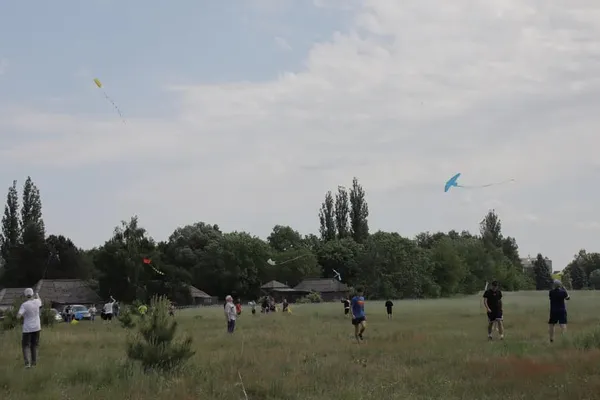 Біля Луцька в небо запускали повітряних зміїв (фото)