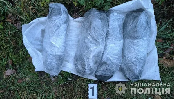 На Волині зловили рівнянина з 30-ма кілограмами бурштину (фото)