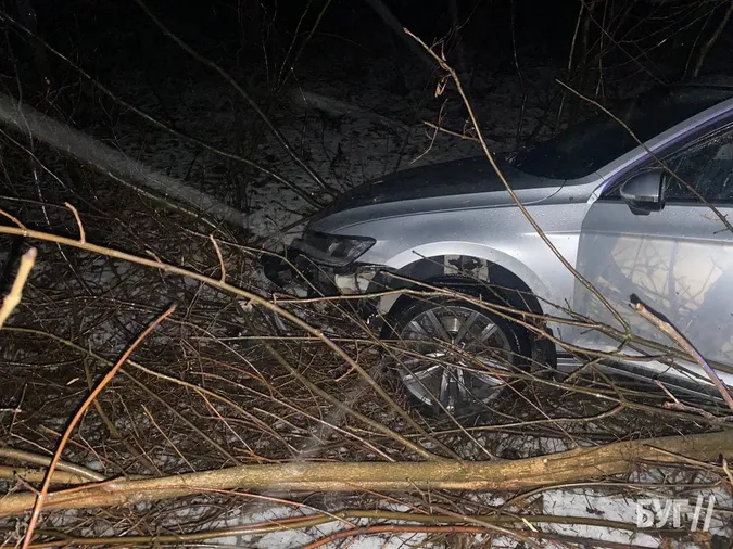 Біля Нововолинську водійка злетіла з дороги та врізалась в хащі (фото)