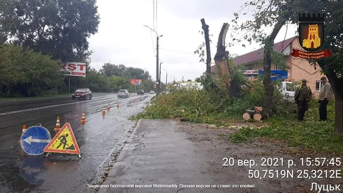 На Набережній у Луцьку самовільно порізали дерева (фото)