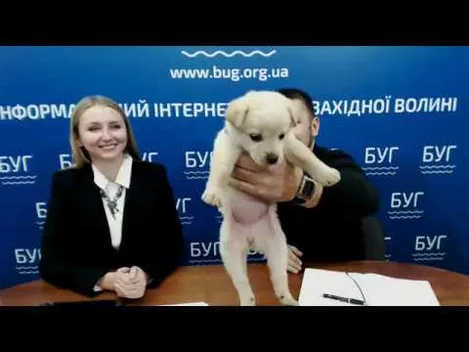 Гузь: «Із Палицею ми на »ти«, а з Гунчиком листуємося»