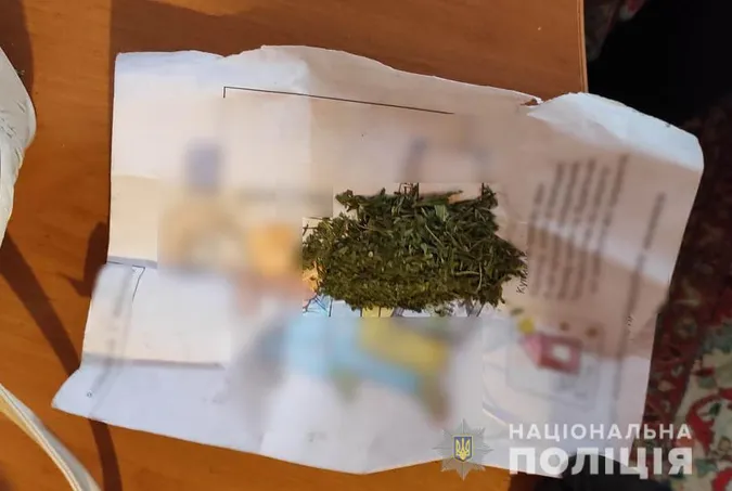 Ковельчанка вирощувала на підвіконні коноплі (фото)