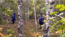 Зник у лісі: на Волині другу добу шукають 76-річного грибника (фото)