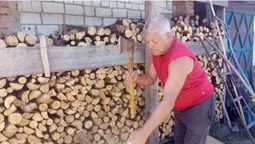 Дуже дорого: скільки коштують дрова на Волині (фото, відео)
